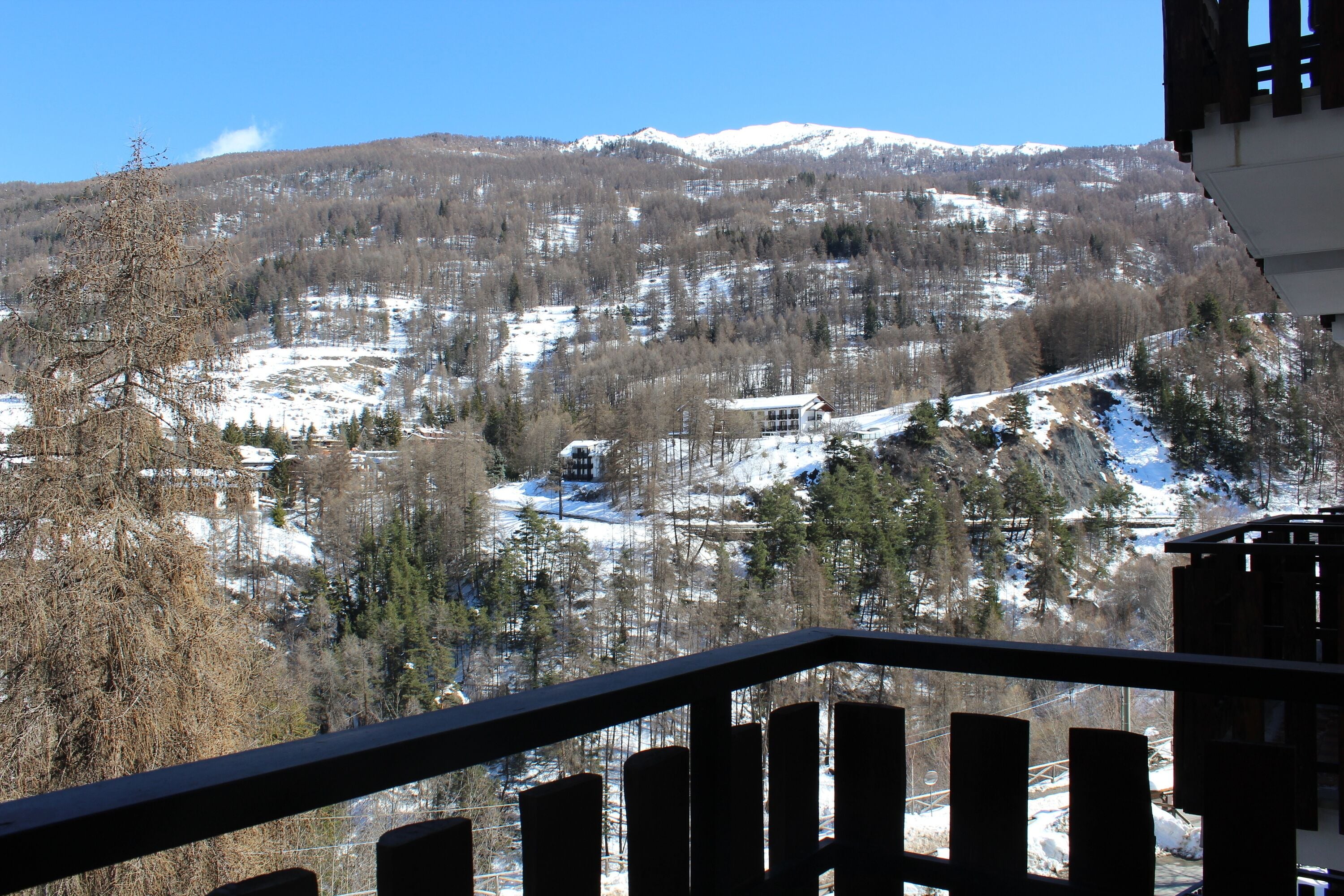 Family Apartment, Multiple Bedrooms (Appartamento 7 Bello Mountain View) | Property grounds