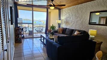 Televisión, libros, biblioteca de música, estéreo