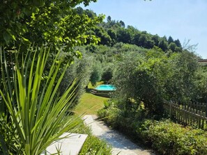 Property grounds - Shaleo, Private Pool, Wifi, Ac, Marliana, Toscana (Marliana)