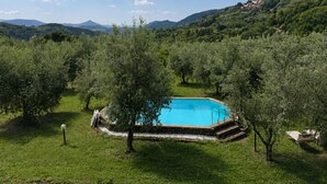 A swimming pool surrounded by olive trees, with a mountainous landscape in the background. - Shaleo, Private Pool & Jacuzzi, Marliana (Marliana)