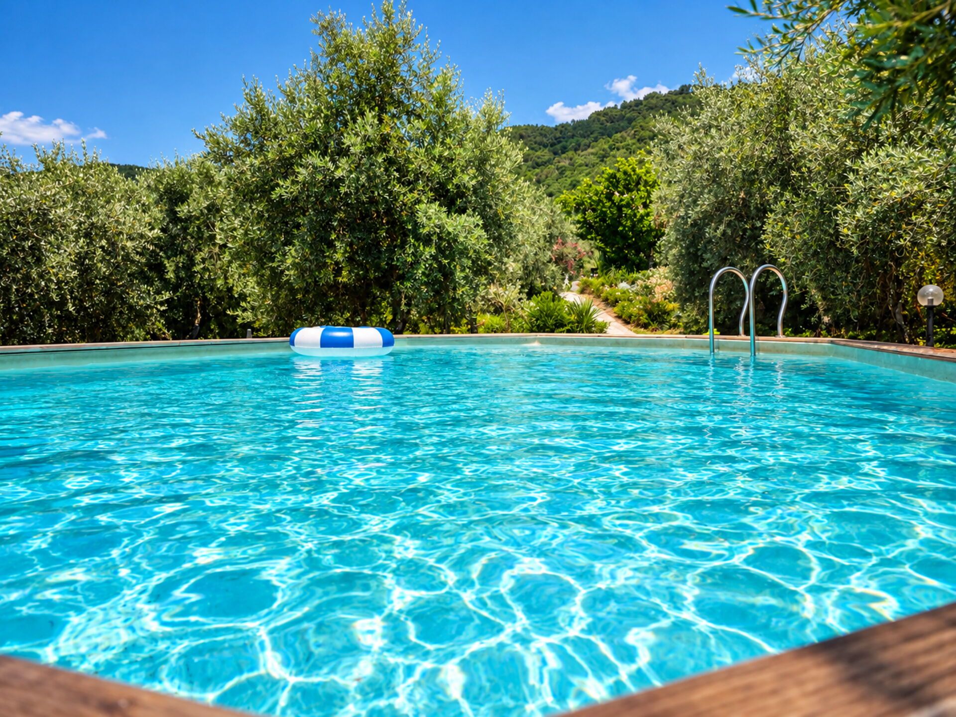 A clear blue pool with a floating ring, surrounded by lush greenery and a hilly landscape.
