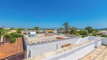 別墅 | 露台/庭院