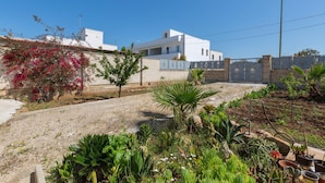 Una casa moderna y blanca con un jardín delantero, que incluye varias plantas y una pequeña palmera.
