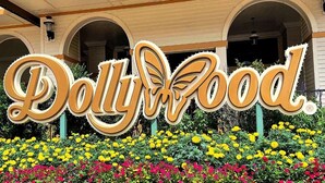 Une enseigne pour « Dolly Food », avec un motif de papillon, entourée de fleurs colorées.