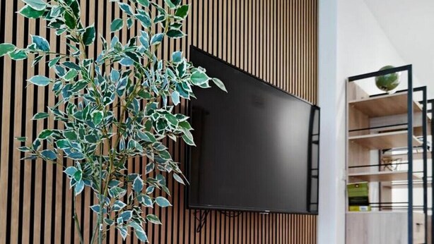 A modern dining area with a wooden table, a woven chair, a plant, and a wall-mounted TV.