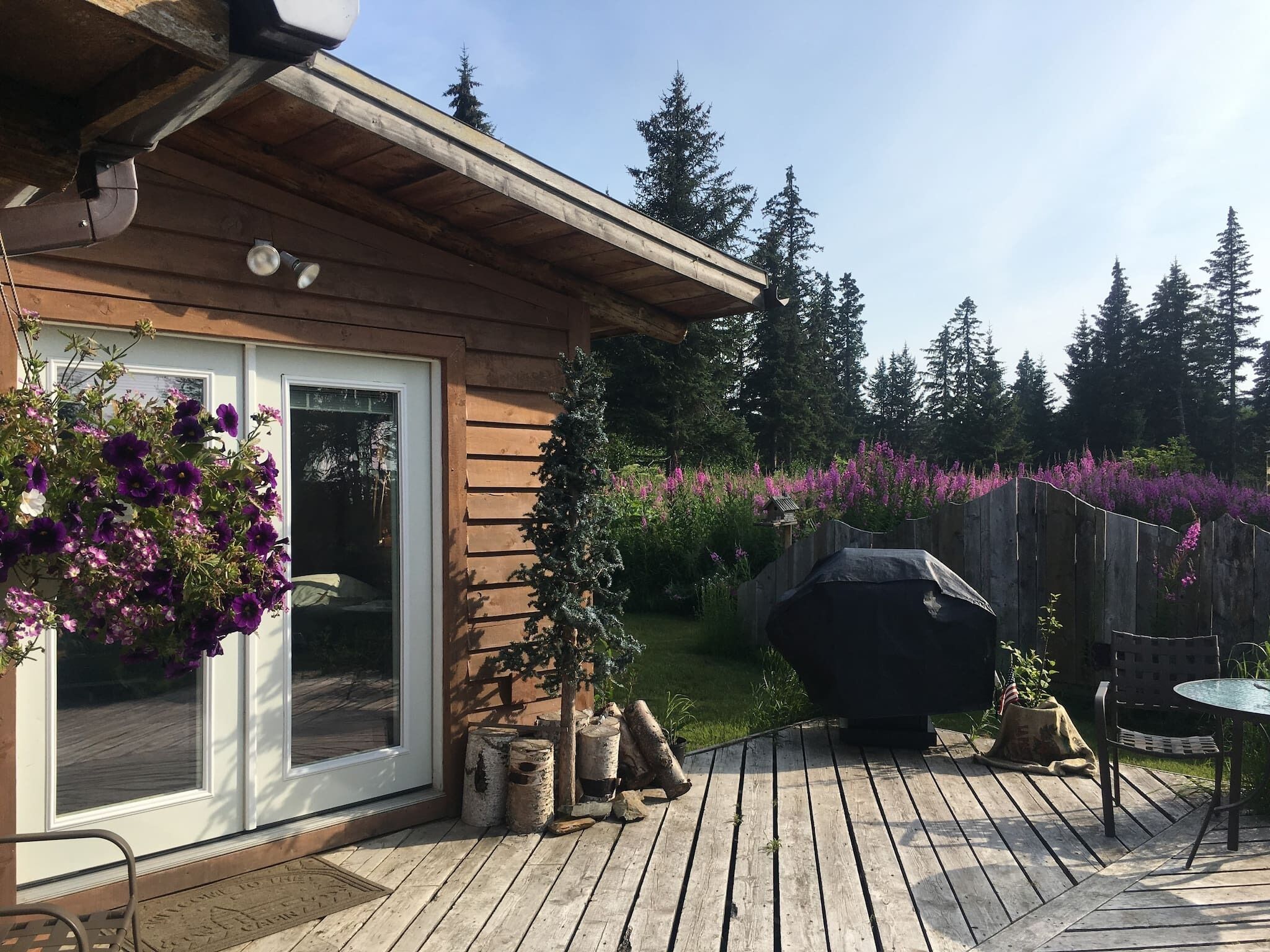 Cabin, 1 Bedroom, Balcony, Mountain View | Exterior