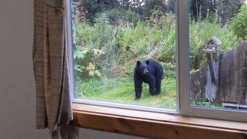 Cabin, 1 Bedroom, Balcony, Mountain View | Exterior