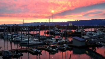 Cabin, 1 Bedroom, Balcony, Mountain View | Exterior