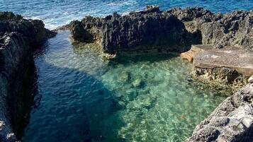 Appartement | 1 slaapkamer, snel internet