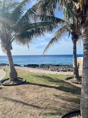 Apartment | 1 Schlafzimmer, Internetzugang