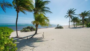 Een strand met palmbomen en een helder uitzicht op de oceaan.