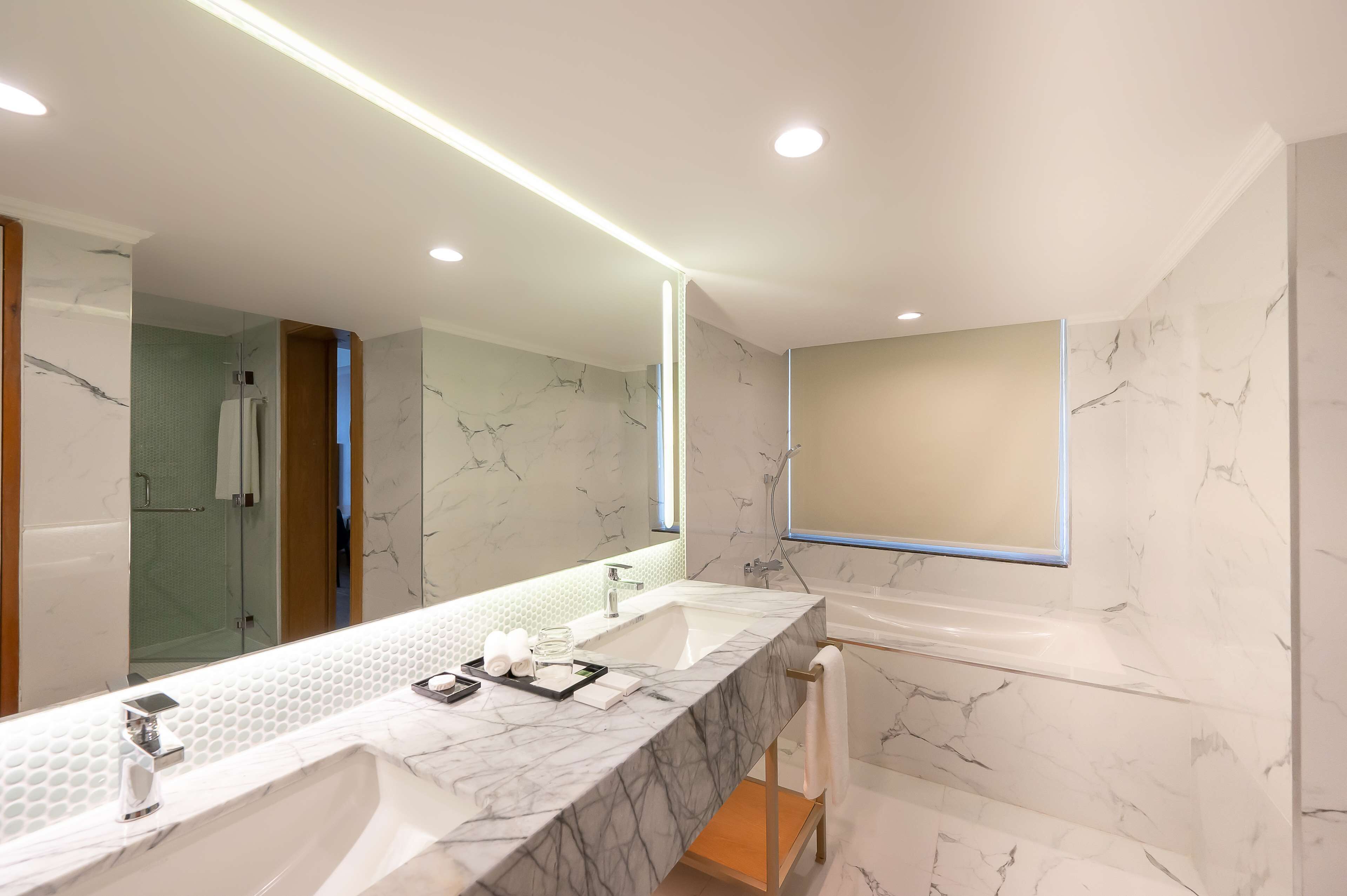 Deluxe Suite | Bathroom | Shower, rainfall showerhead, free toiletries, hair dryer