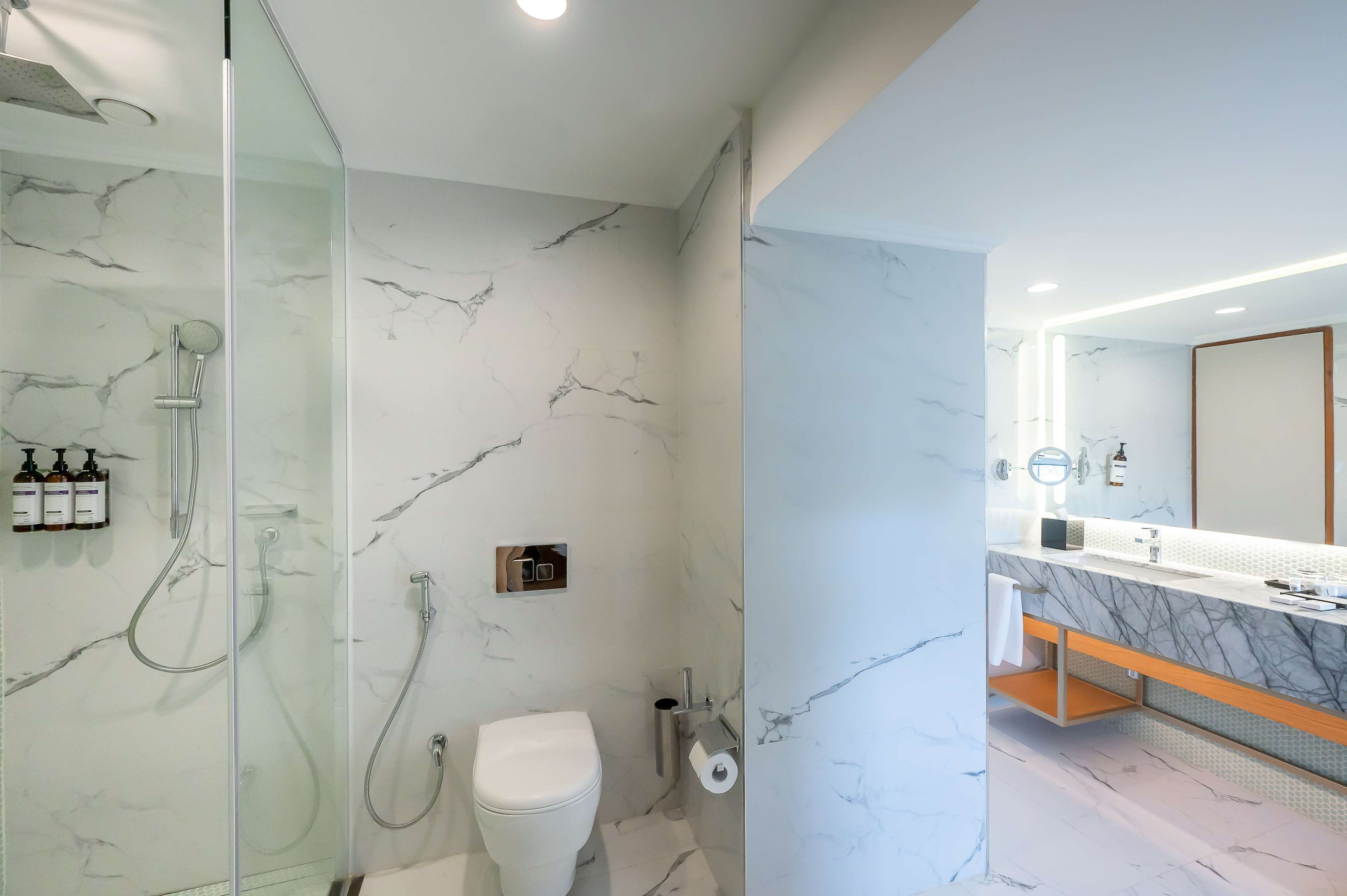 Deluxe Suite | Bathroom | Shower, rainfall showerhead, free toiletries, hair dryer
