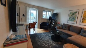 Smart TV, video games, DVD player, books