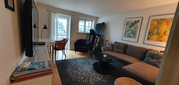 Smart TV, video games, DVD player, books