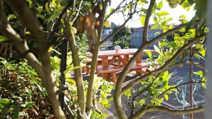 A wooden picnic table surrounded by greenery, with a fence and a building in the background.