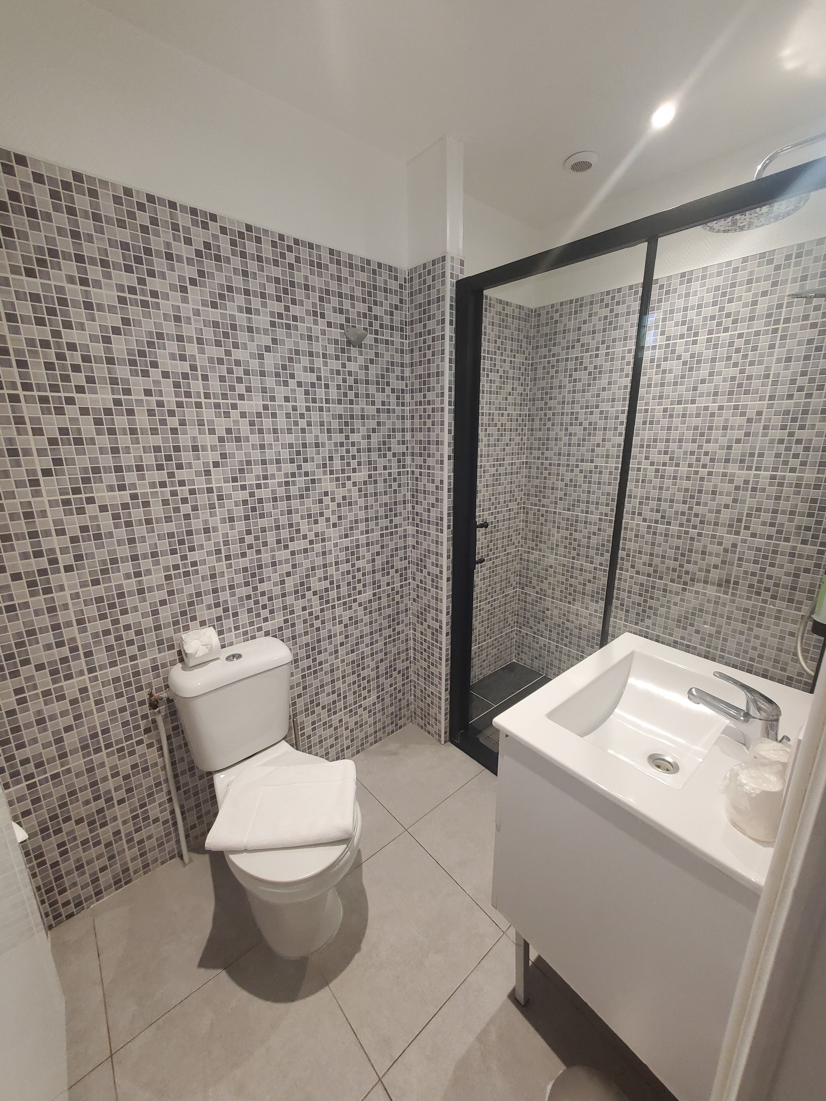 Een badkamer met toilet, wastafel en douche.