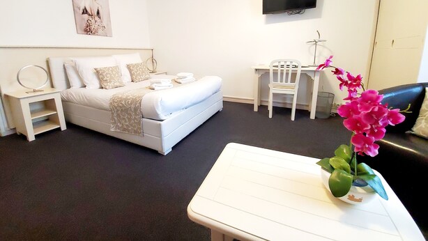 Una habitación de hotel con cama, mesita de noche, silla, escritorio, televisor y una planta en maceta.