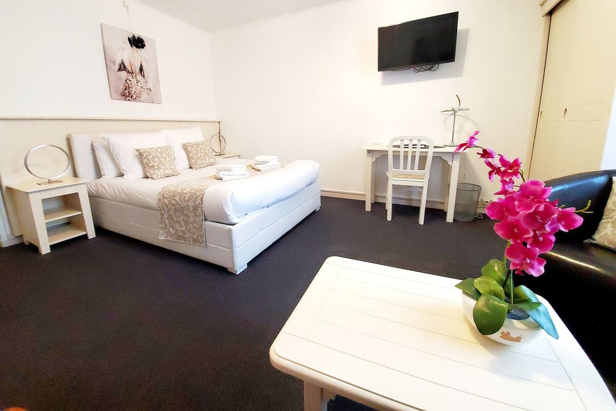 A hotel room with a bed, bedside table, chair, desk, TV, and a potted plant.