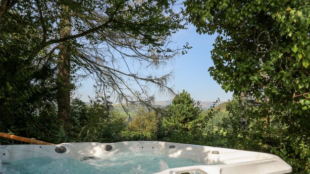 A hot tub with a control panel, surrounded by lush greenery and a scenic view. - The Coach House at Plas Dolguog (Machynlleth)