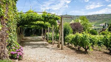 Parco della struttura