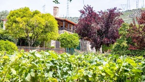 Ein Haus mit einer steinernen Fassade und einem roten Ziegeldach, umgeben von üppiger Vegetation und Bäumen.