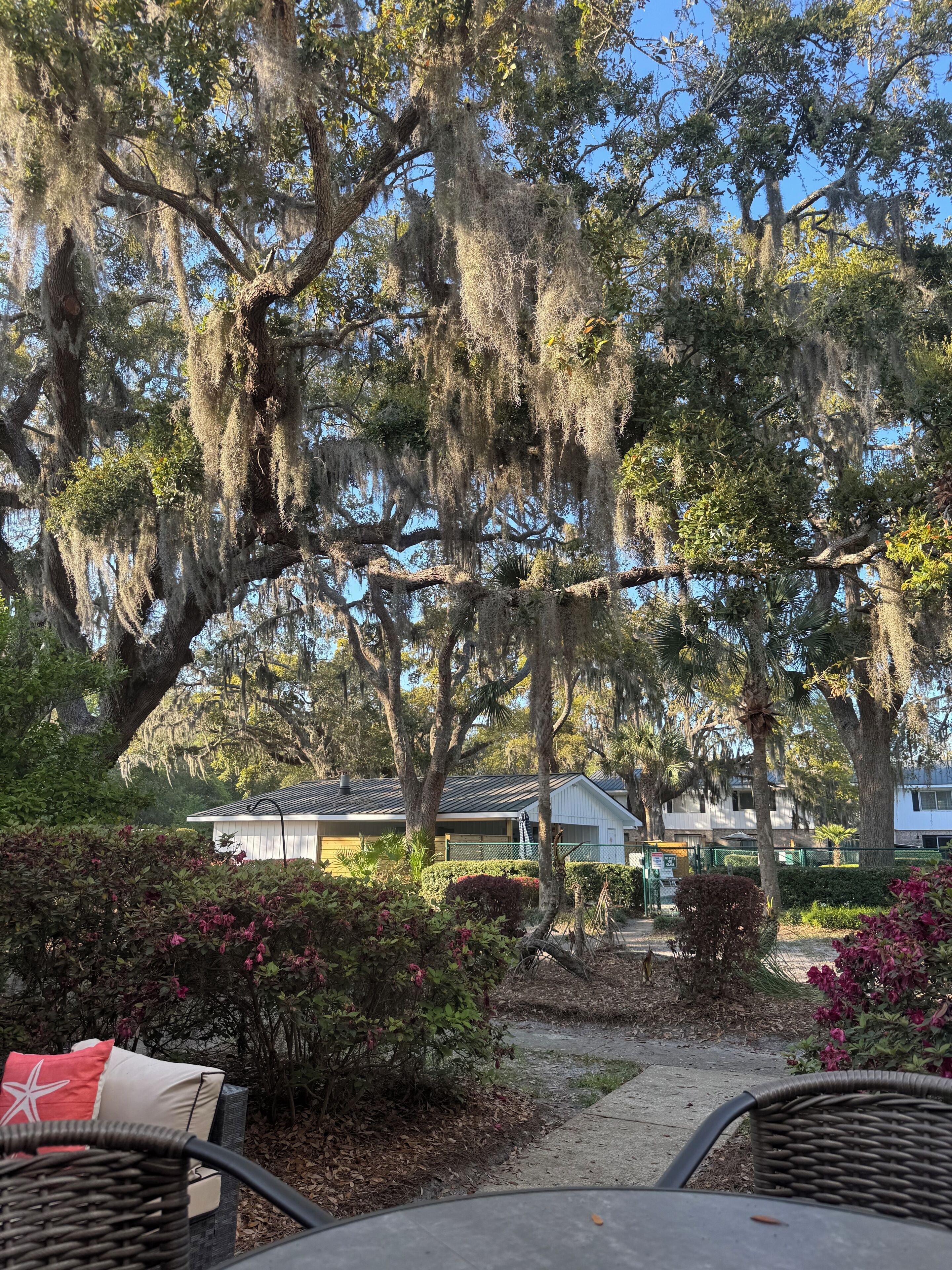 A pathway leading to a building with a covered porch, surrounded by mature trees with Spanish moss, and a small garden with flowering plants.