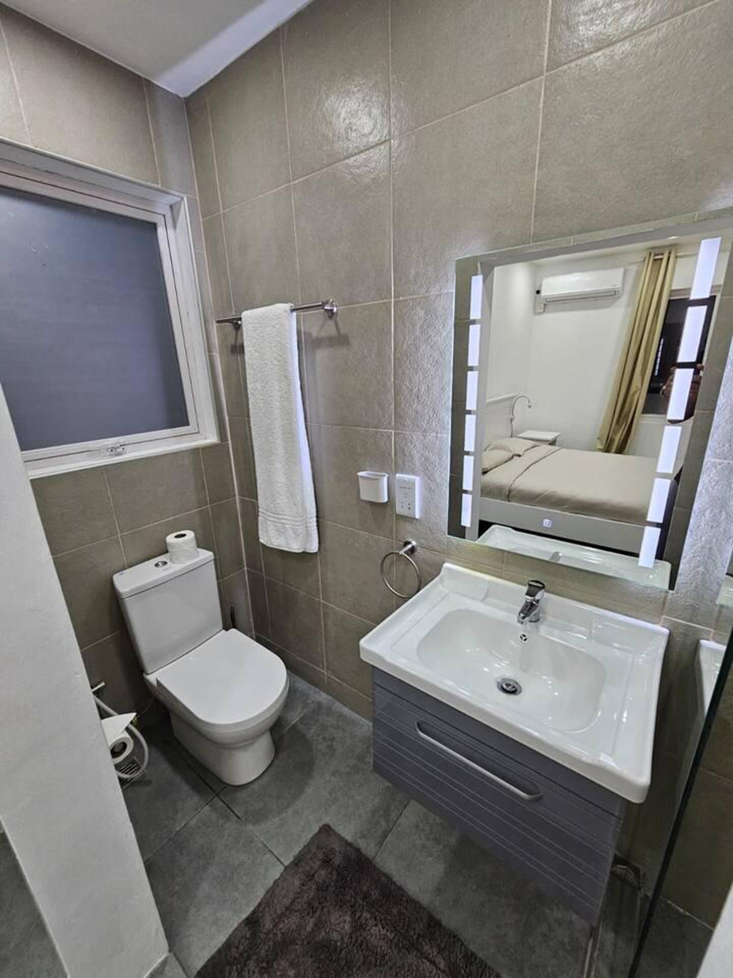 A bathroom with a toilet, sink, and mirror.