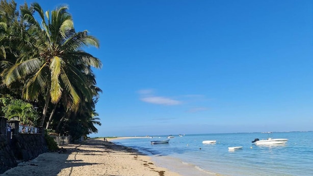 Una playa con aguas azul cristalino, palmeras y barcos.