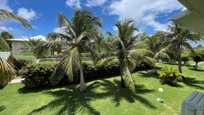 Um jardim bem cuidado com palmeiras e gramado, um edifício ao fundo e um céu azul e límpido.
