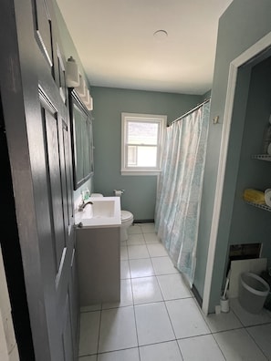 Economy House | Bathroom - Pontiac House for a short term rent (Pontiac)