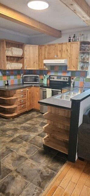 Frigorífico, microondas, horno y placa de cocina