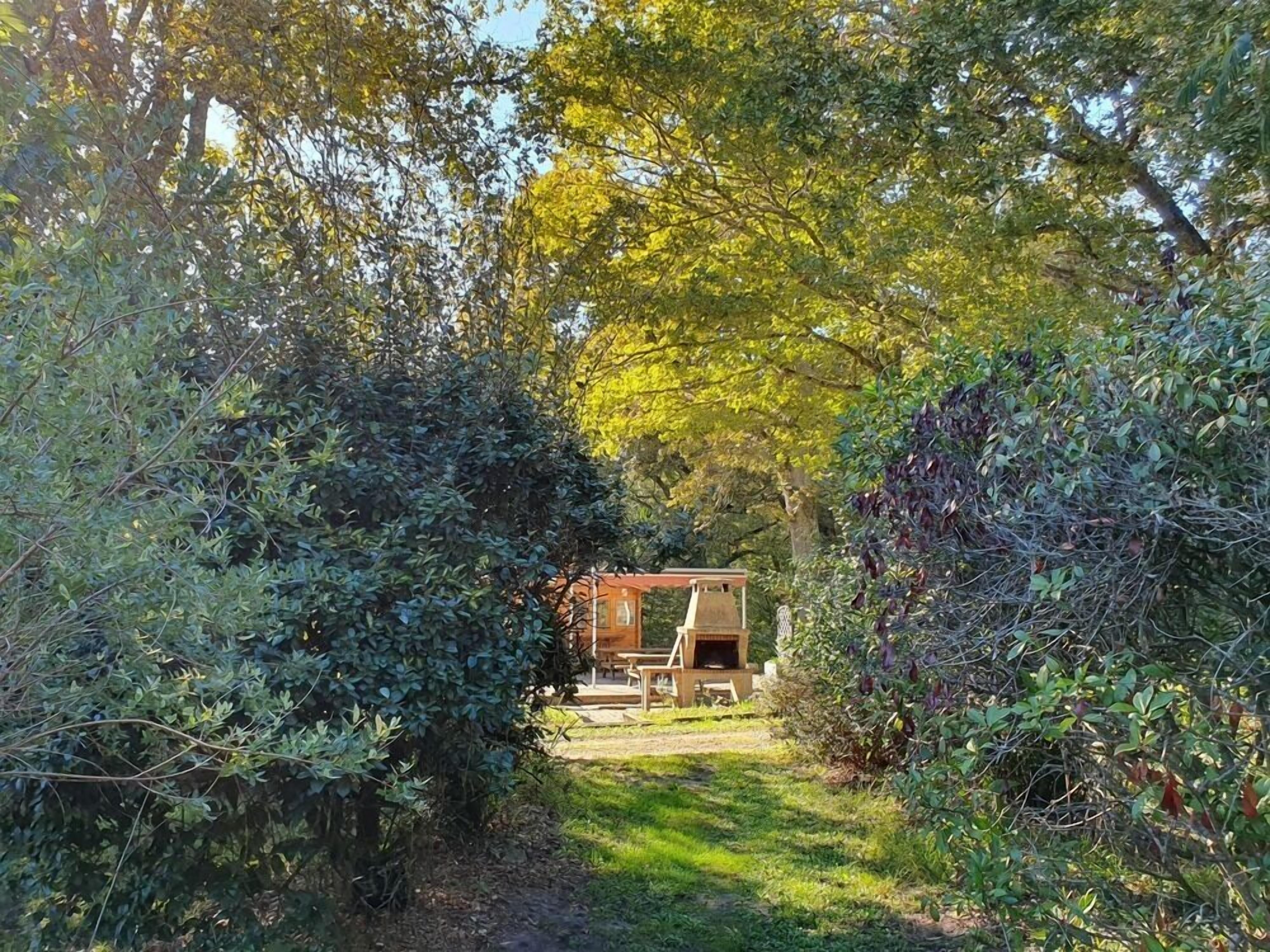 A secluded garden with a wooden structure, possibly a gazebo or outdoor seating area, surrounded by dense foliage and trees.