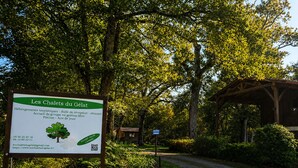 A signboard for Les Chalets du Gelat with a reception area, group accommodation, and a pool. - Cottage surrounded by nature (Noaillan)