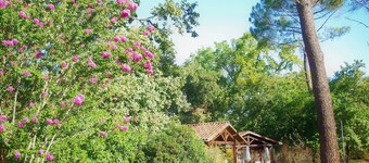 Cottage surrounded by nature
