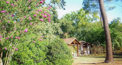 Cottage surrounded by nature