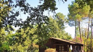 Un chalet rustique doté d’une véranda, entouré d’une forêt dense et surplombant un ciel dégagé.
