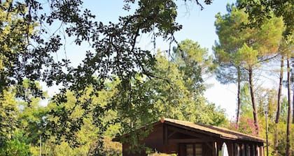 Big Cottage - 6/8 people