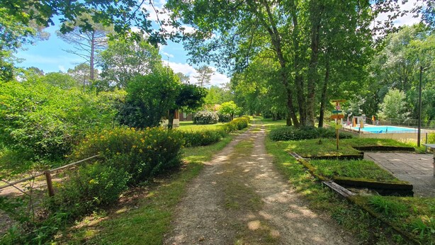 Un sentier de jardin qui mène à un espace piscine équipé d’un barbecue.