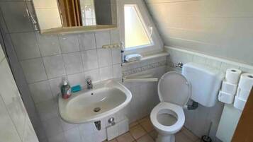 Shower, hair dryer, soap, shampoo