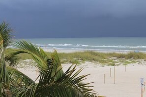 Una playa con vista despejada al océano, orilla arenosa y algunas palmeras.