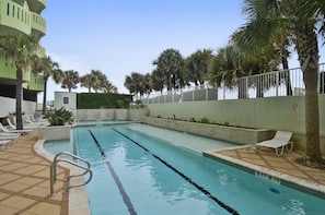 A swimming pool with clear lane dividers, surrounded by palm trees and lounge chairs.