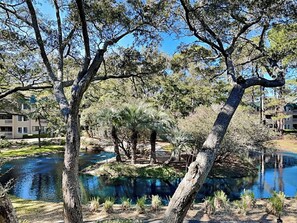 Condo (2 Bedrooms) | Servicio de la propiedad