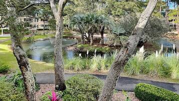 A landscaped garden with a pond, trees, and a pathway.