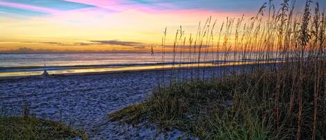 Une plage bordée d’herbes hautes, avec un coucher de soleil.