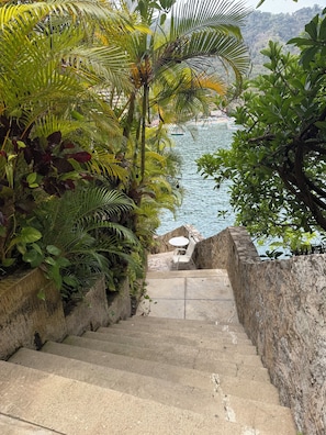 Un escalier menant à une zone côtière, caractérisée par une végétation luxuriante et offrant une vue sur la mer.