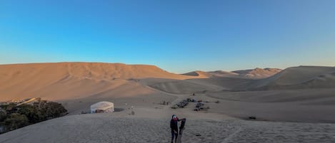 Paisaje desértico con dunas de arena y cielo despejado.