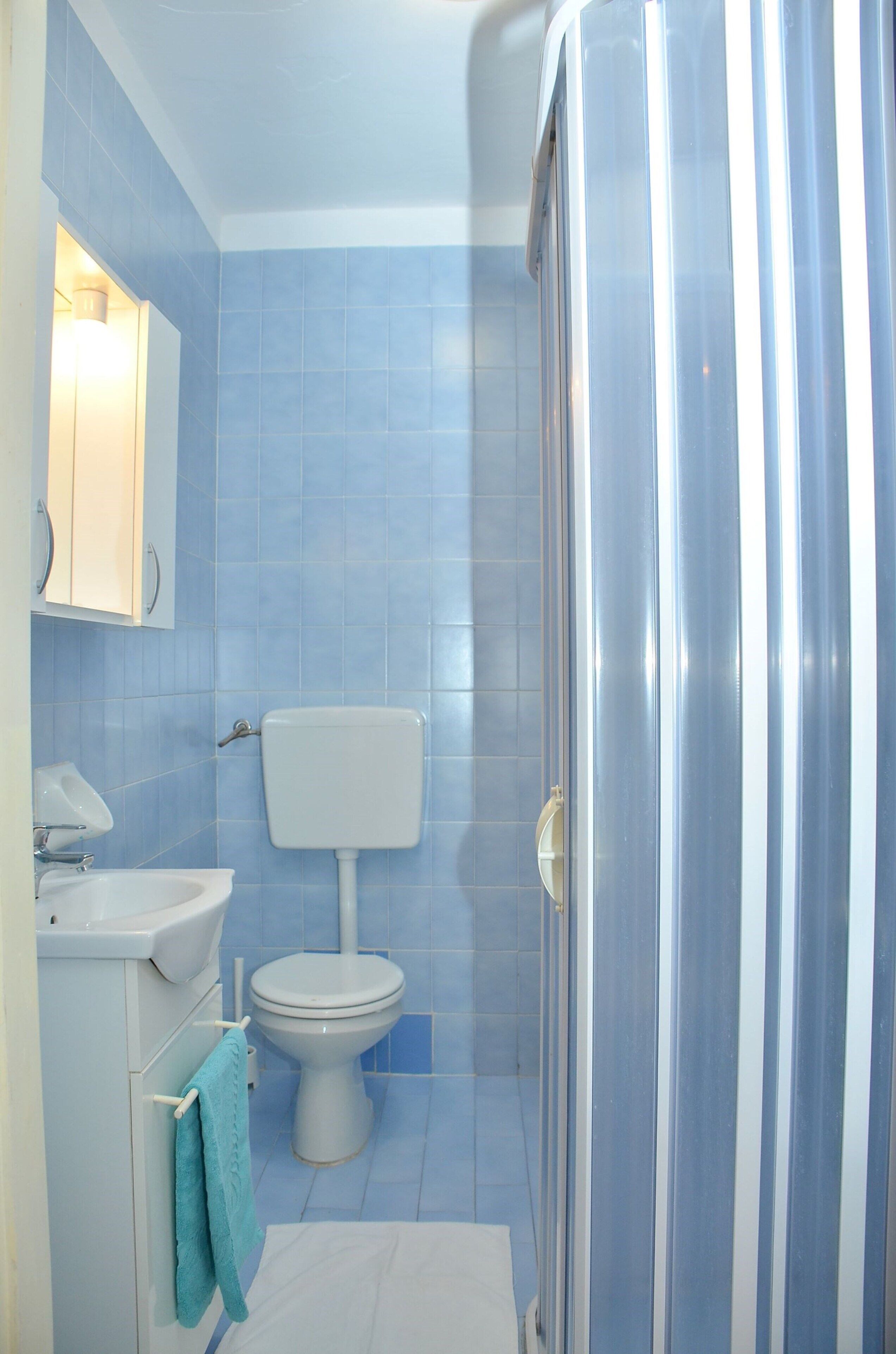 A bathroom with a toilet, sink, and a shower enclosure.