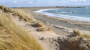 A sandy beach with dunes and a clear sky. - Rhyd Y Bont Bach (Holyhead)