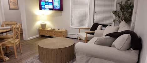 Fernseher